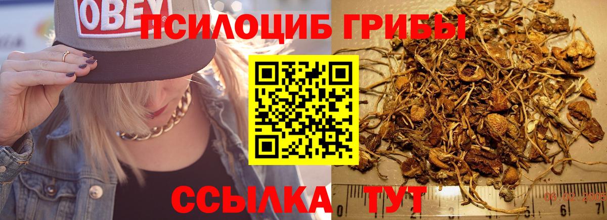 Галлюциногенные грибы Magic Shrooms Ярославль