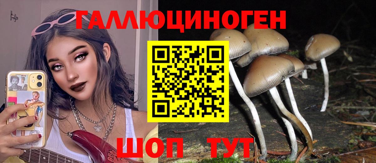 Псилоцибиновые грибы мицелий  Вход с VPN  Ярославль 